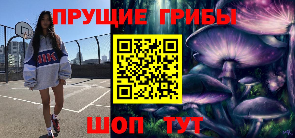 Галлюциногенные грибы Cubensis Прохладный