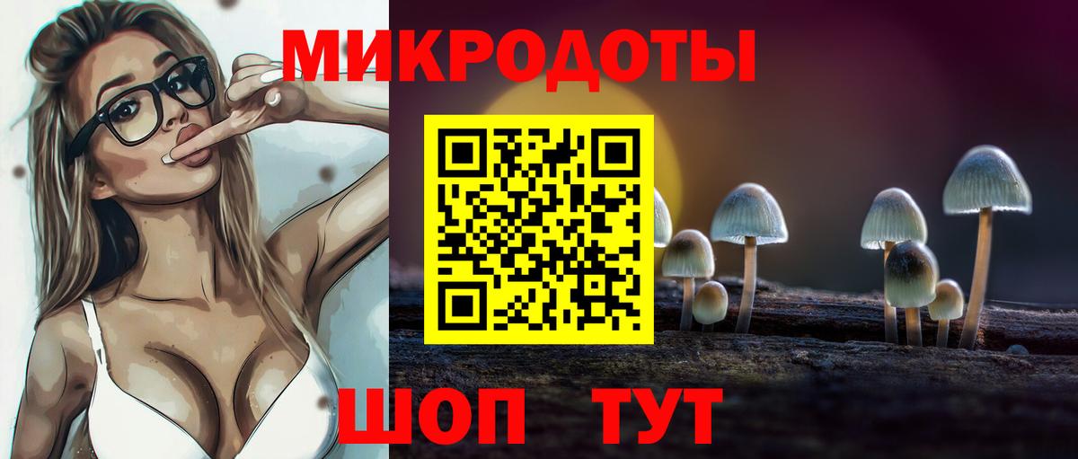 Прохладный  Псилоцибиновые грибы мицелий  Псилоцибиновые грибы Cubensis  Вход с VPN 